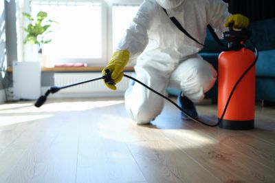 Spider Extermination Service in Frisco, TX