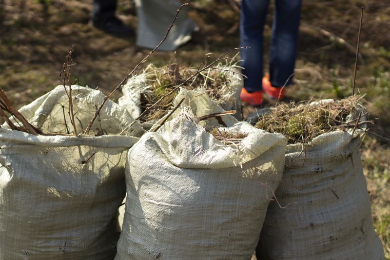 Beaver Removal Service