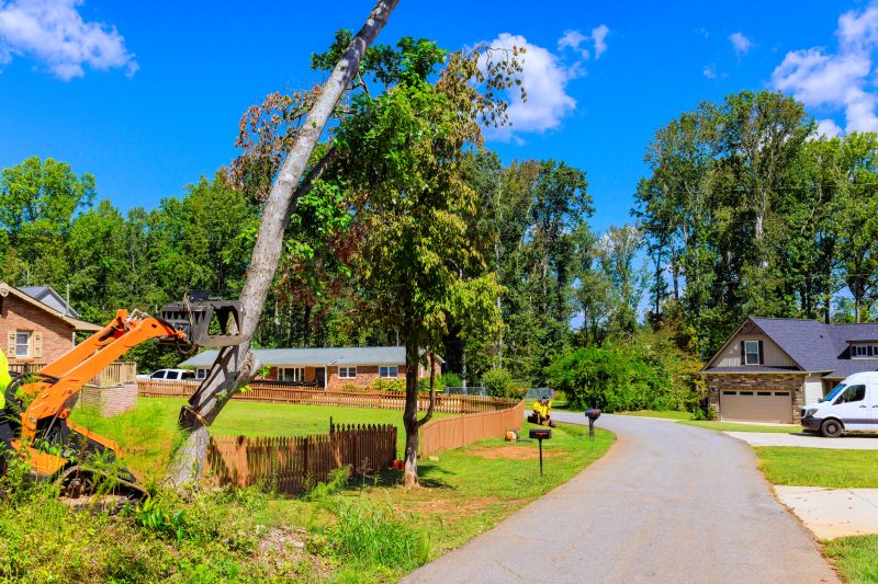 How Beaver Activity Alters Water Flow Near Residential Areas