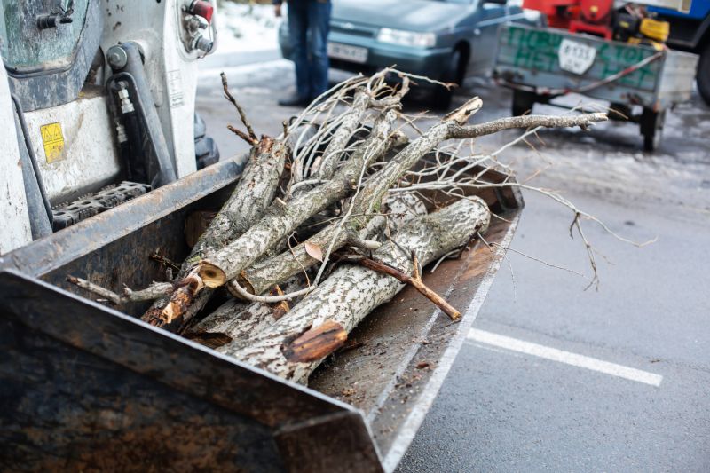 How Beaver Activity Alters Water Flow Near Residential Areas